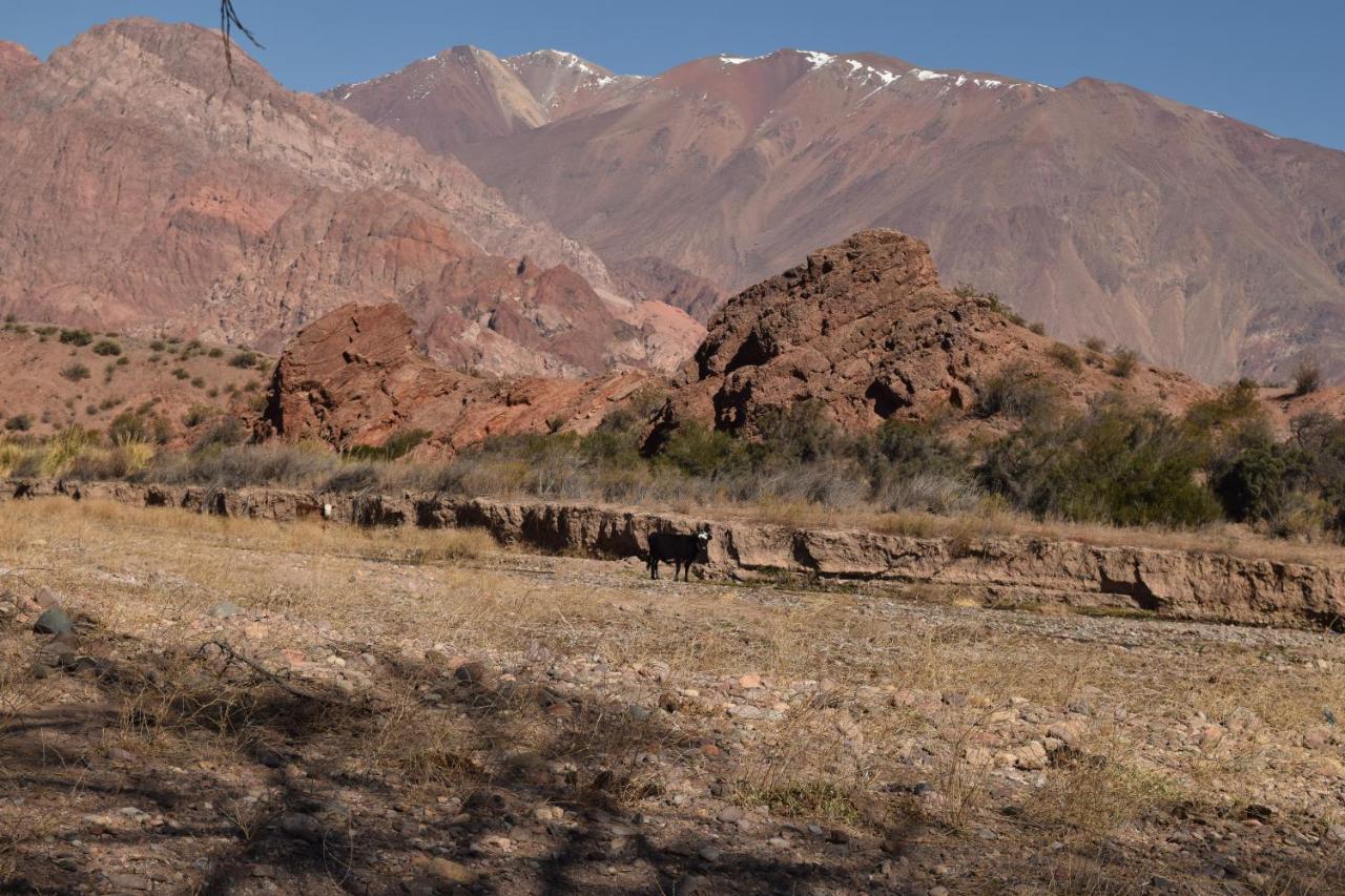 Cabanas De Los Andes Uspallata Zewnętrze zdjęcie